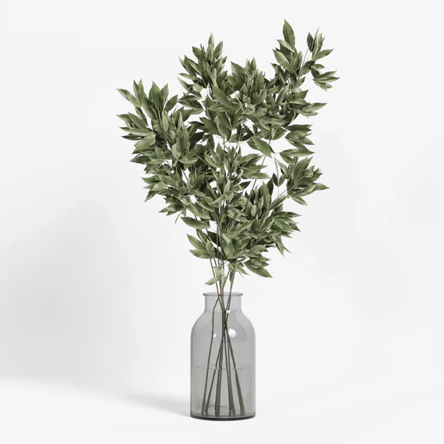 collection of indoor plants Vol04 — Скачать