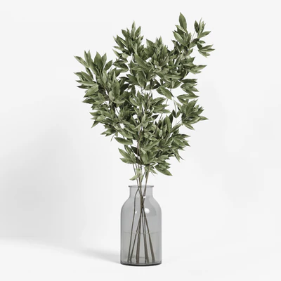 collection of indoor plants Vol04 — Вид 6