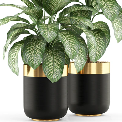 Plants collection 491 — Ver 3