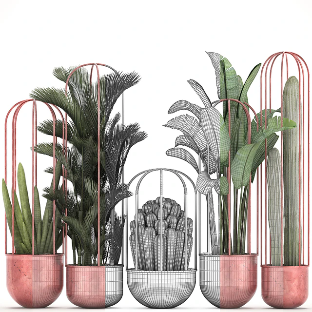 Collection of plants 326. Cacti, palm, copper, banana, dipsis, indoor plants, pot, copper, flowerpot, metal, outdoor, decorative, strelitzia, Cactus — Descargar