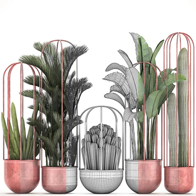 Collection of plants 326. Cacti, palm, copper, banana, dipsis, indoor plants, pot, copper, flowerpot, metal, outdoor, decorative, strelitzia, Cactus — Ver 2