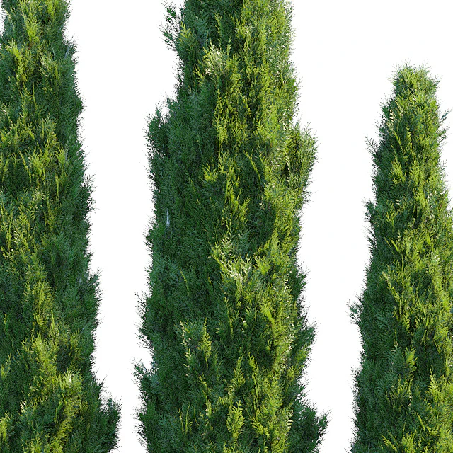 Cypress — Descargar