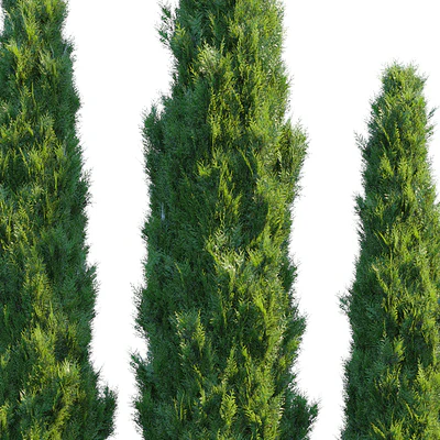 Cypress — Ver 3