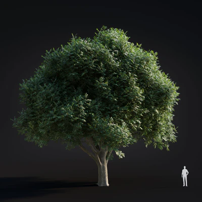 027 green ash — Скачать