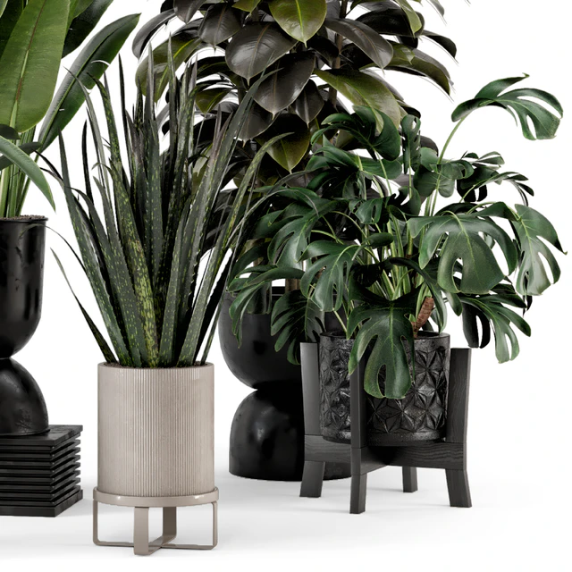 Indoor Plants in Ferm Living Bau Pot Large - Set 583 — Скачать