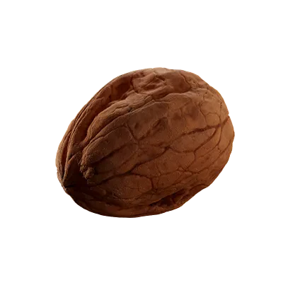 walnut 003 — Descargar