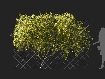 gelsemium sempervirens 005 — Descargar