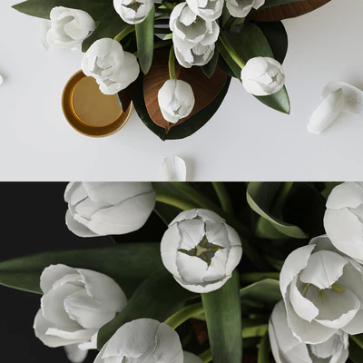 Tulips — Ver 3