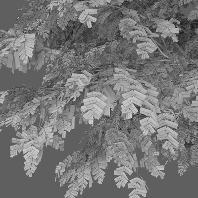 Robinia — Вид 4