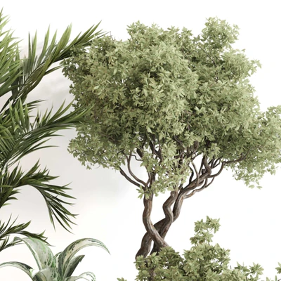 Indoor Plant Set 0123 — Ver 2