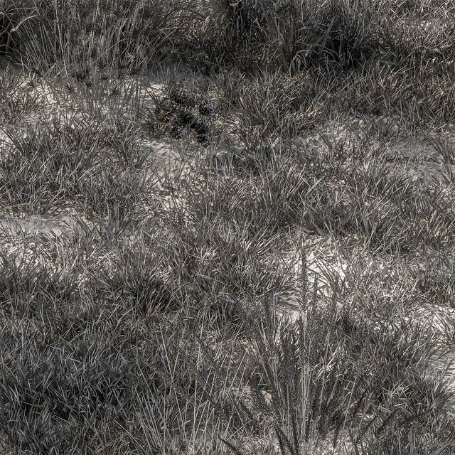 Dry Grass Set 16 — Descargar