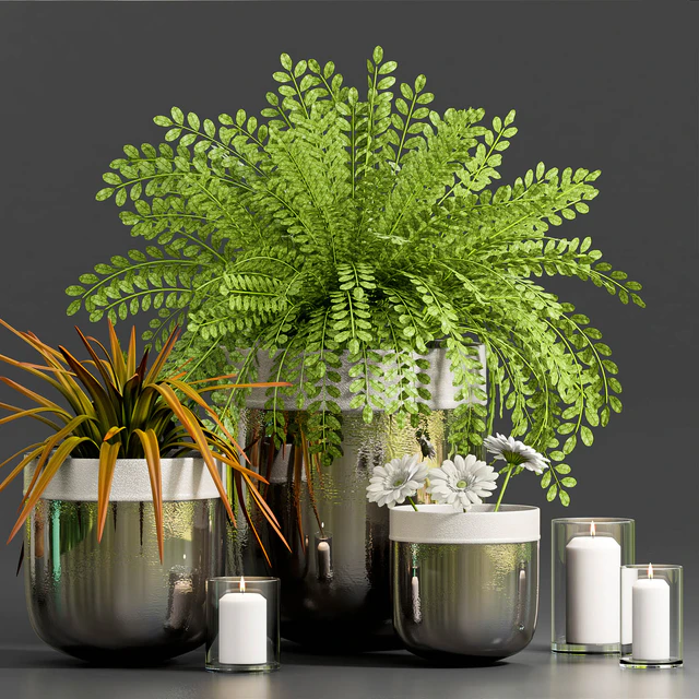DECORATIVE PLANT WITH GERBERA FLOWER — Descargar