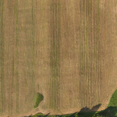 field summer 029 — Скачать