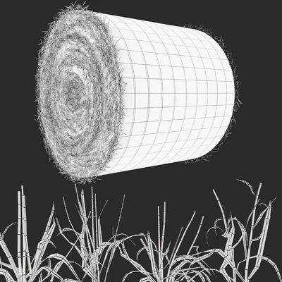 Farm field with hay bale — Ver 5