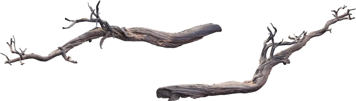 desert western tree log dead large 001 — Descargar