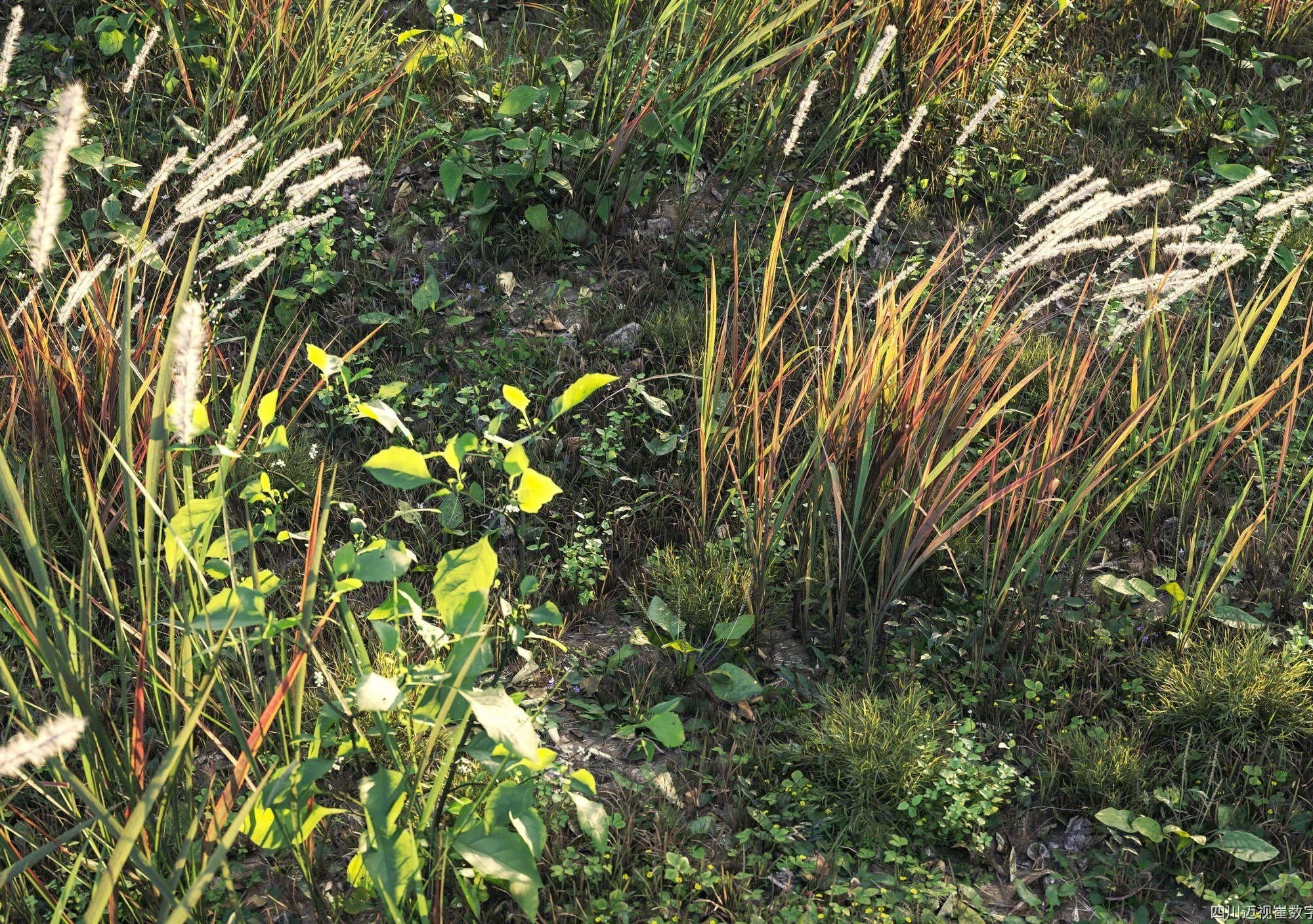 plant models vol 021 — Скачать