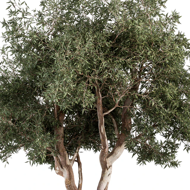 RedGum Tree - Tree Set 175 — Скачать