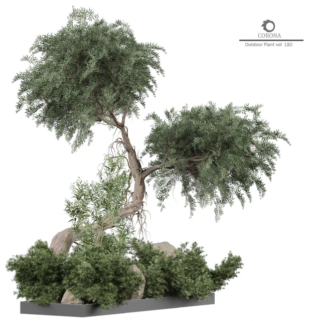 Outdoor Plant 180 — Descargar