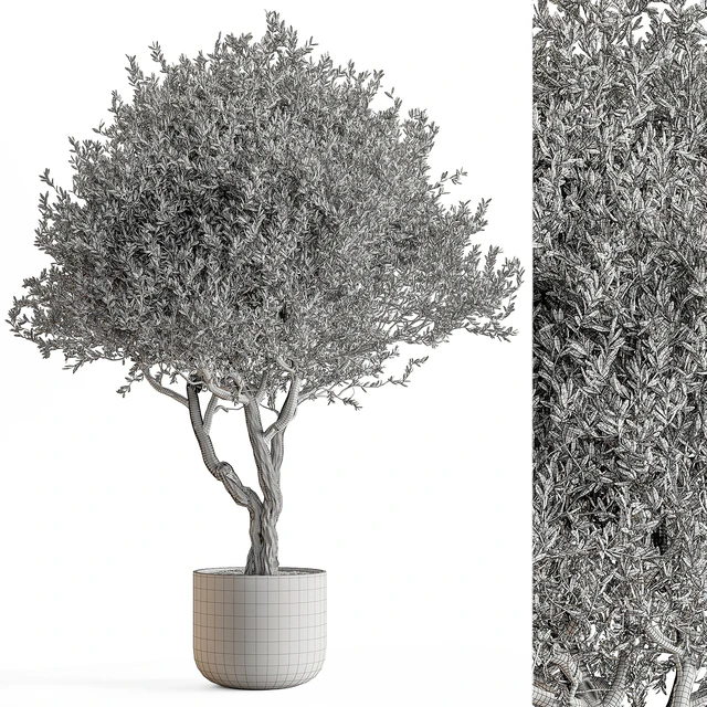 Indoor Plant 652 -Tree in Pot — Descargar