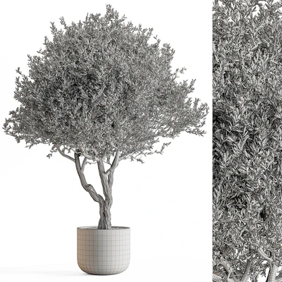 Indoor Plant 652 -Tree in Pot — Ver 4