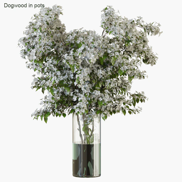 Branches in vases 34 — Скачать