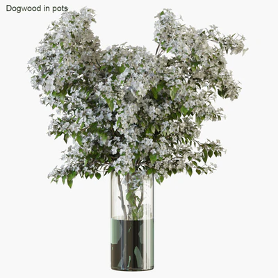 Branches in vases 34 — Вид 1