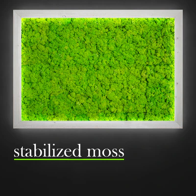 Stabilized moss. — Ver 3