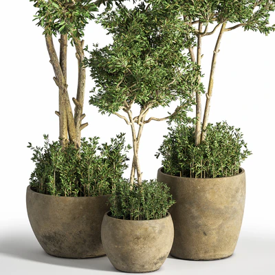 Indoor Plant Set 25 — Ver 3