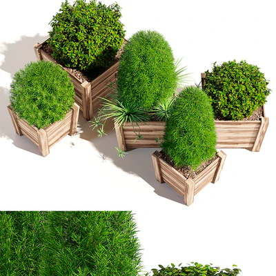 Hardwood planters — Вид 2