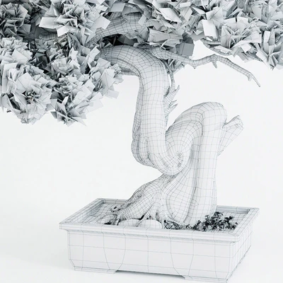 Bonsai 2 — Ver 2