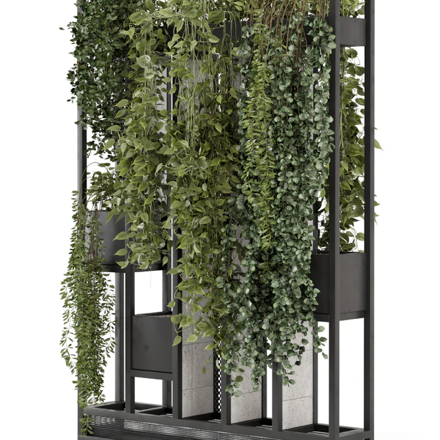 Indoor Hanging Plants in Metal Stand - Set 1698 — Descargar