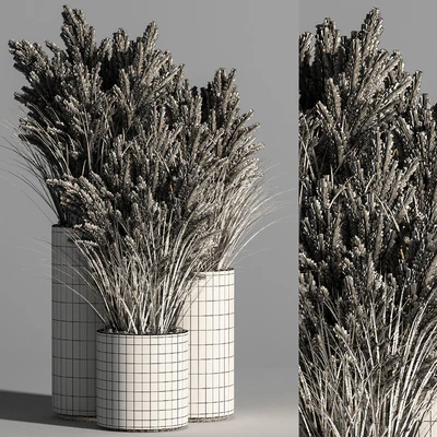 Indoor Plant Set 48 (pampas) — Ver 2