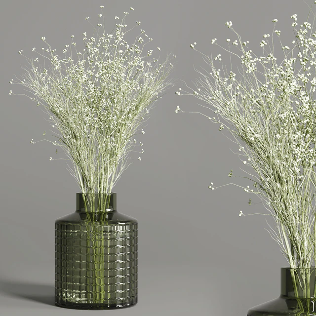 collection Plants Bouquet Indoor glass vase — Скачать
