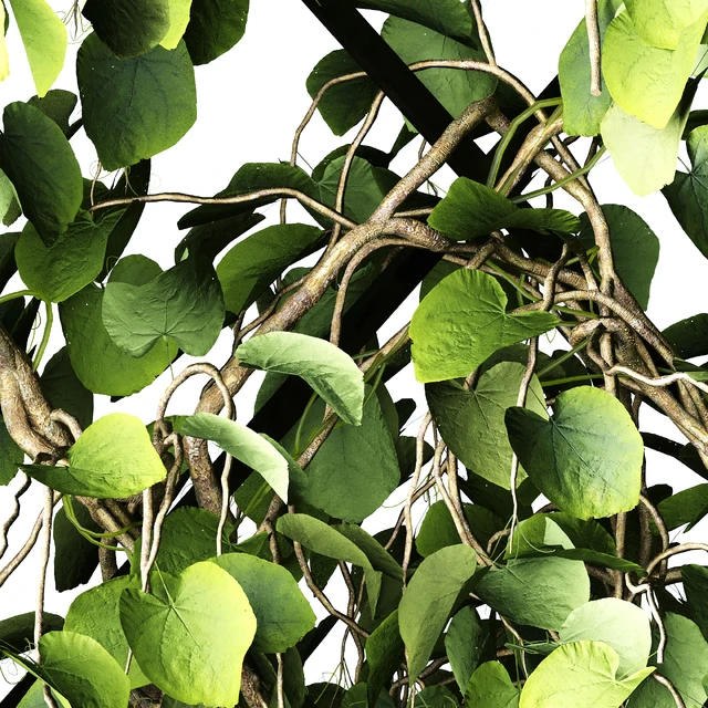 Vertical Garden - Planter with trellis — Скачать