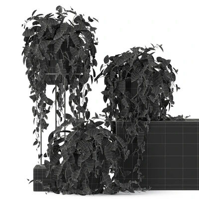 Plants collection 250 — Ver 2