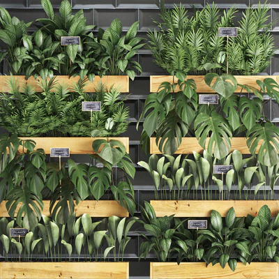Vertical gardening. 40. Shelf with flowers, monstera, areca, palm tree, indoor plants, black tiles, phytowall, phytomodule, eco design, vertical garden — Ver 2