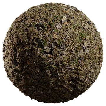 grassy gravel 002 — Descargar