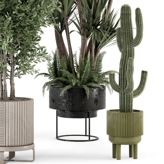 Indoor Plants in Ferm Living Bau Pot Large - Set 362 — Скачать