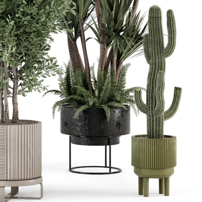 Indoor Plants in Ferm Living Bau Pot Large - Set 362 — Вид 5