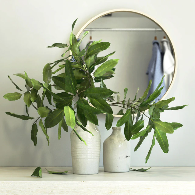 branches in a vase — Descargar