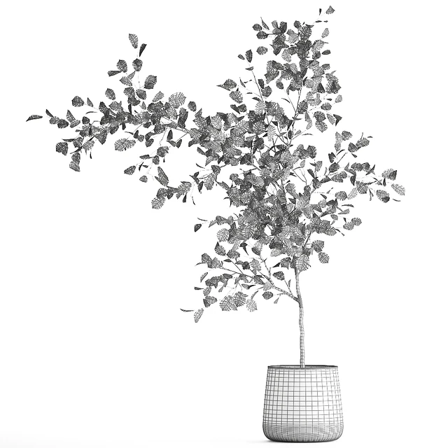 Decorative small Linden tree, Hazel in a rusty metal pot. Set 953. — Descargar