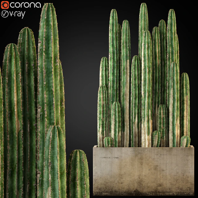 Plants collection 260 — Скачать
