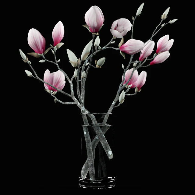Magnolia Bouquet — Скачать
