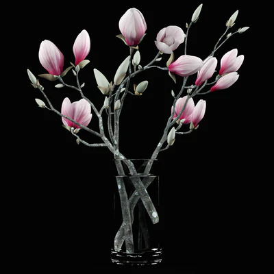 Magnolia Bouquet — Вид 1