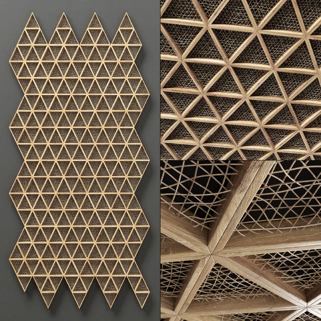 Ceiling tringle frame branch n1 / Ceiling of branches in a triangular frame — Descargar