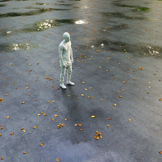 Wet asphalt with leaves. Autumn. Editable — Descargar