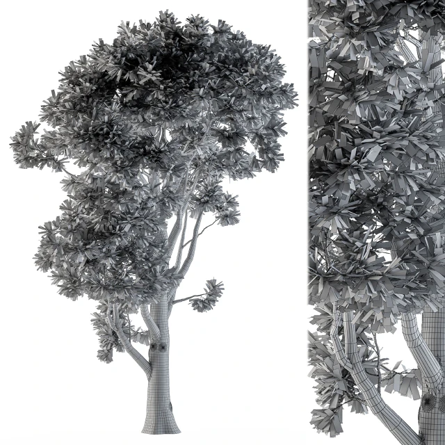 Tree broadleaf n1 — Descargar