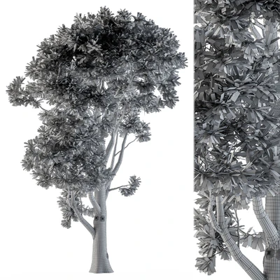 Tree broadleaf n1 — Ver 3