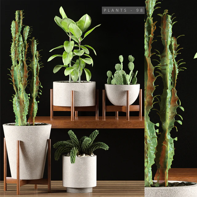 PLANTS 98 — Скачать