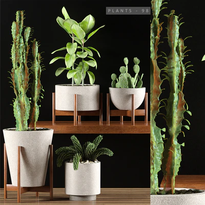 PLANTS 98 — Вид 1